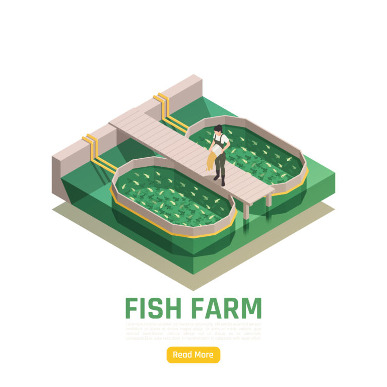 best fish feed company in india