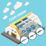 floating fish feed happy fish feed