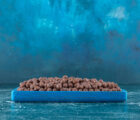floating fish feed