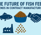 Fish Feed