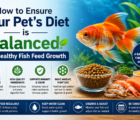 Healthy Fish Feed
