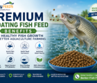 Premium Floating Fish Feed