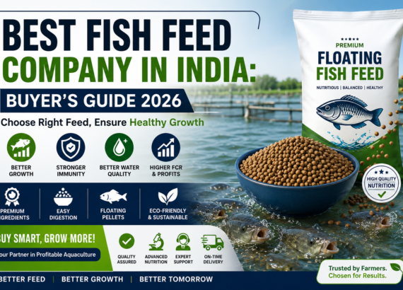 Best Fish Feed Company in India