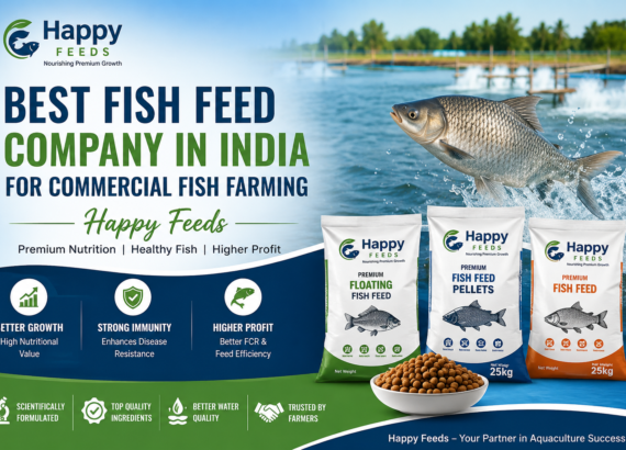 Best Fish Feed Company in India