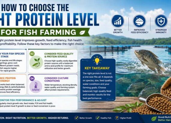  Best Protein