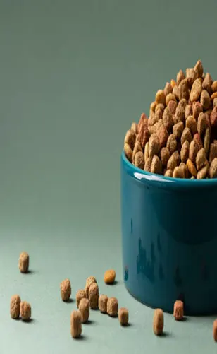 happyfeeds